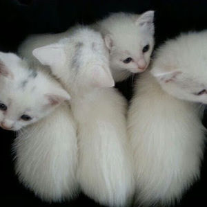 Meet your Posher, Ashleigh